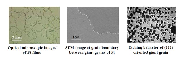 fig05